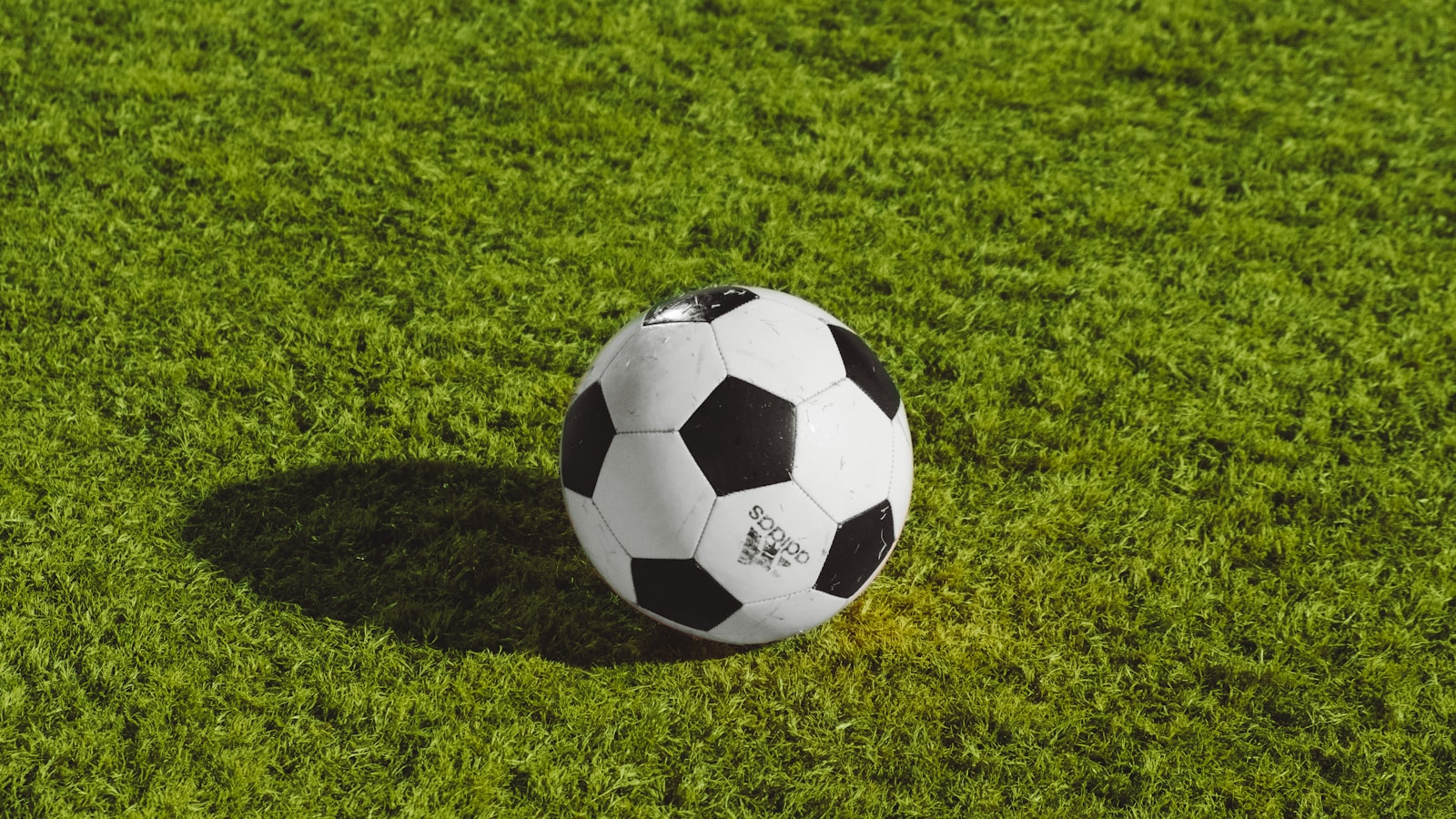 2026年FIFA世界杯足球赛场全景，绿茵球场灯光璀璨，看台数万球迷挥舞旗帜，气氛热烈